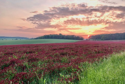 Farma Vodňansk&yacute;
