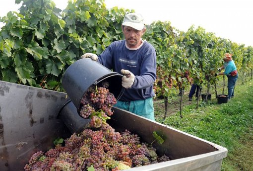 Foto:&nbsp;Filip Jandourek