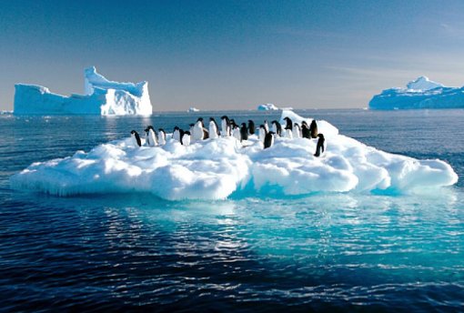 zdroj: dailytelegraph.com.au