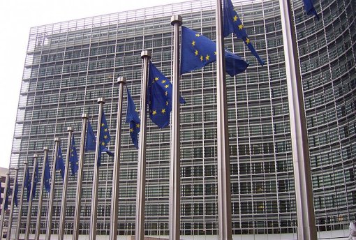 By Amio Cajander [CC BY-SA 2.0 (http://creativecommons.org/licenses/by-sa/2.0)], via Wikimedia Commons