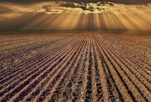 Jan Z&aacute;hornack&yacute;: Br&aacute;zdy