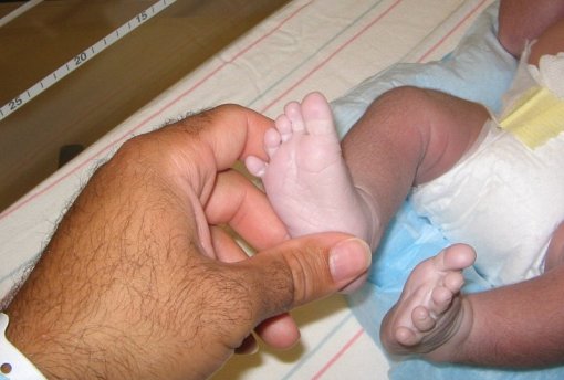 Zdroj:&nbsp;wikimedia.org Foto: Kurt Nordstrom