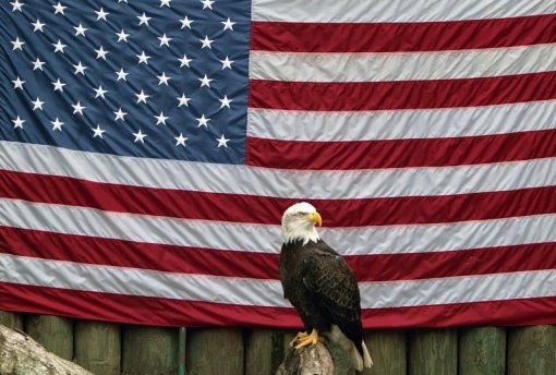 Foto: Freeimages.com